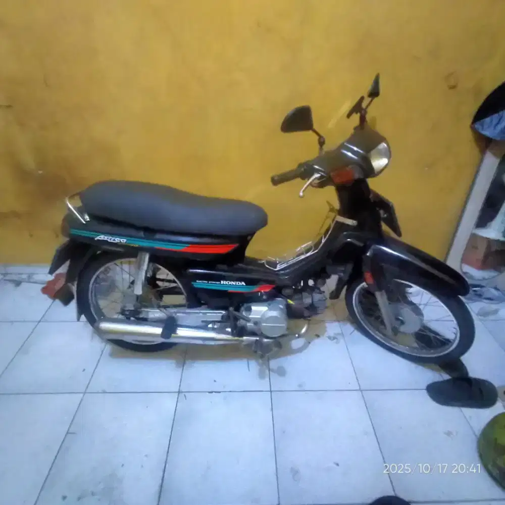 Astrea grand bulus