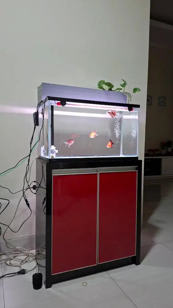 Aquarium 60x35x40