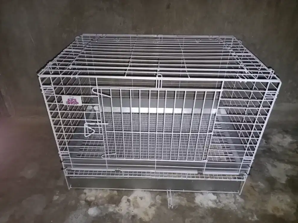 kandang kelinci