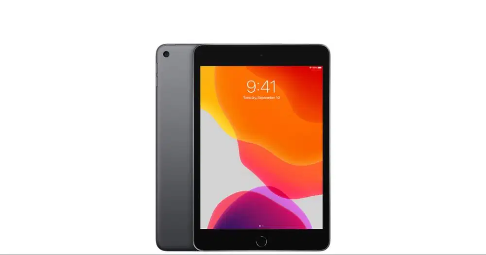 IPAD 5 MINI 2019 256GB GREY MULUS