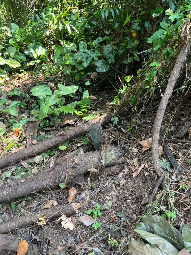 di jual tanah kebun zona hijau