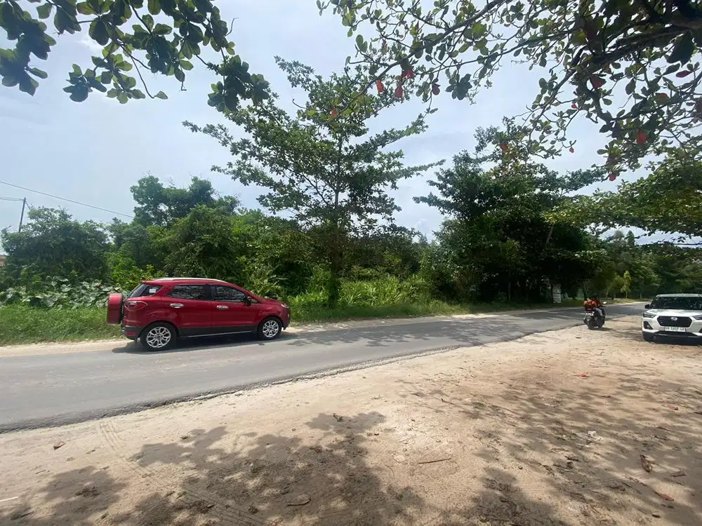 DIJUAL TANAH 2,6Ha Dikelilingi Perumahan Jl.Sawit raya sampit.