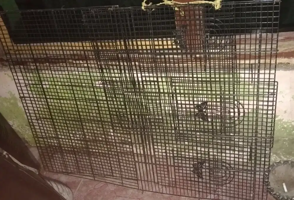 Kandang bekas kucing