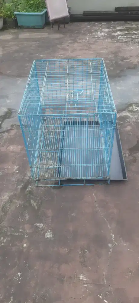 kandang  anjing