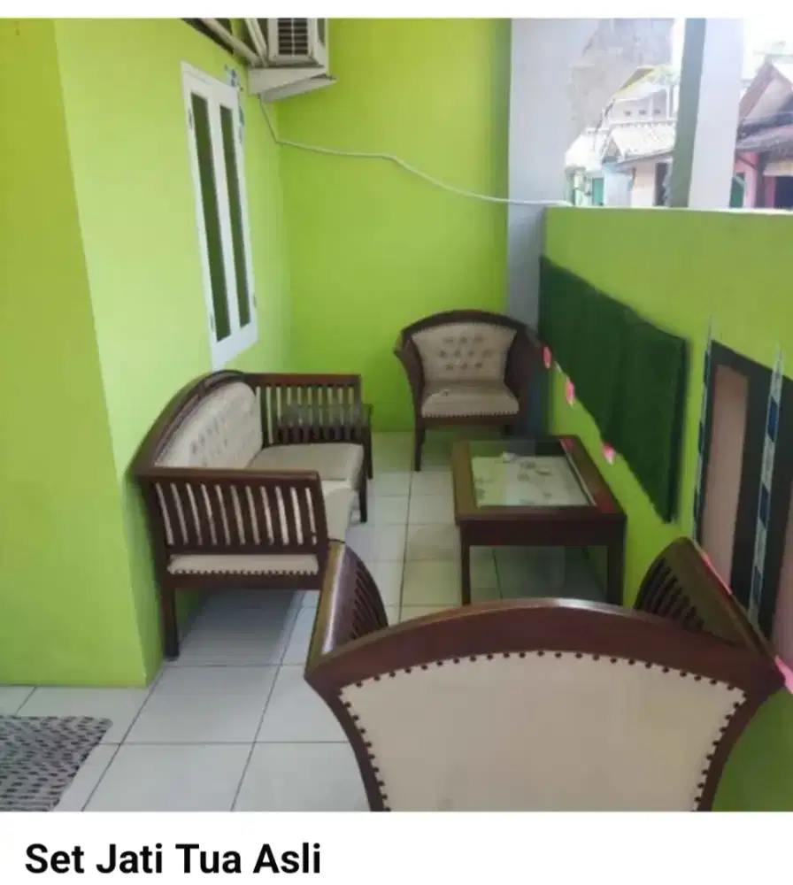 Set Jati Tua Asli