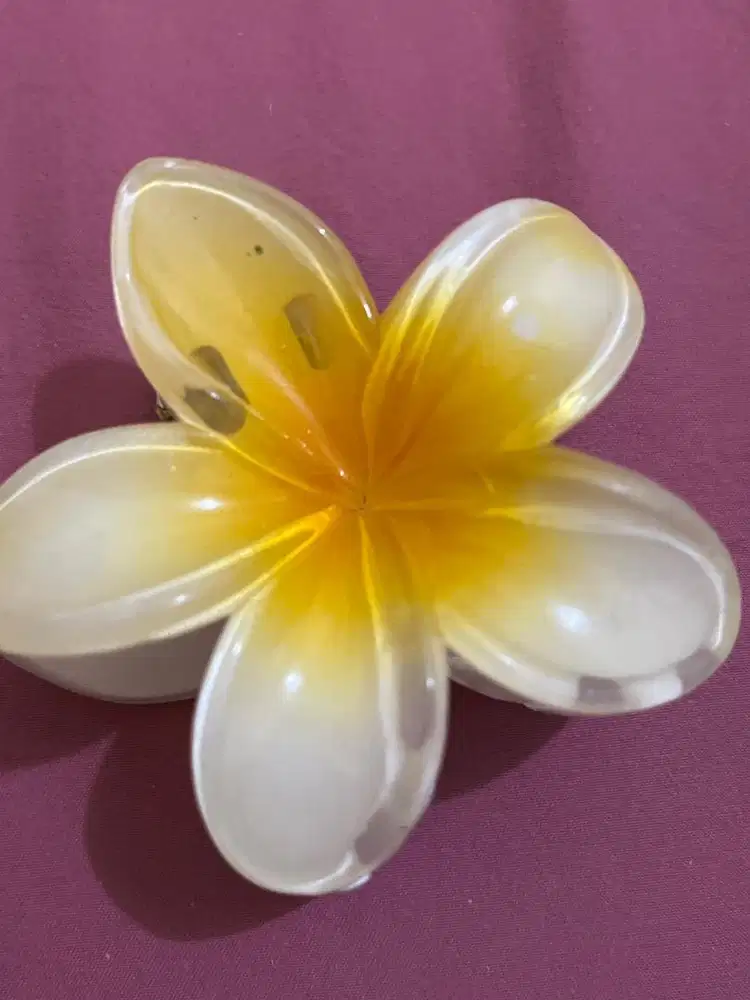 Jedai Flower Hy