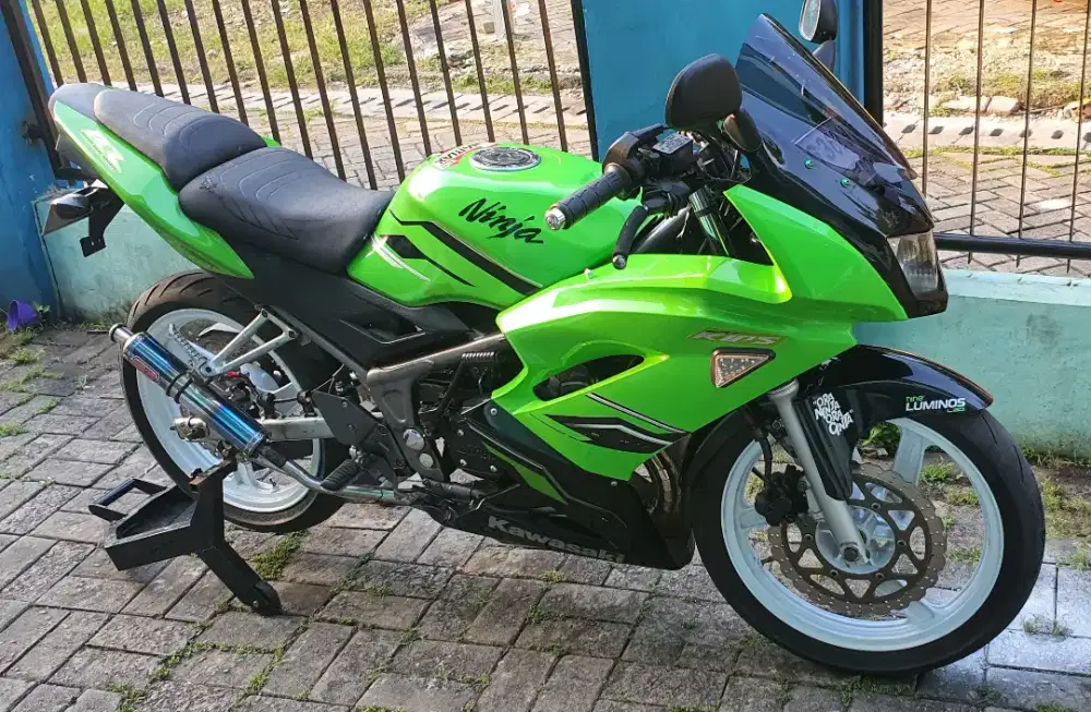 Ninja RR New 2013
