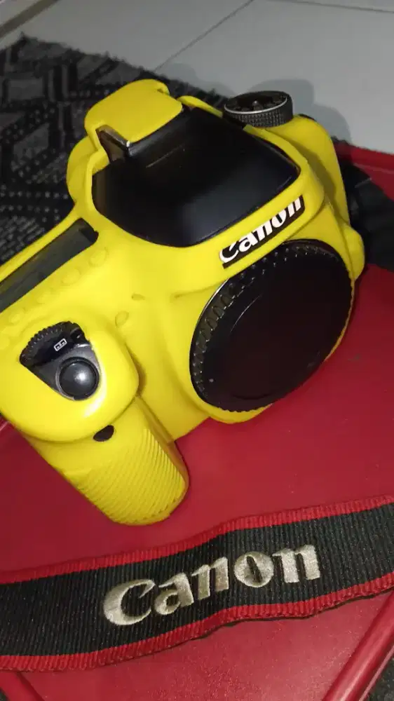 Canon 80D mulus body only