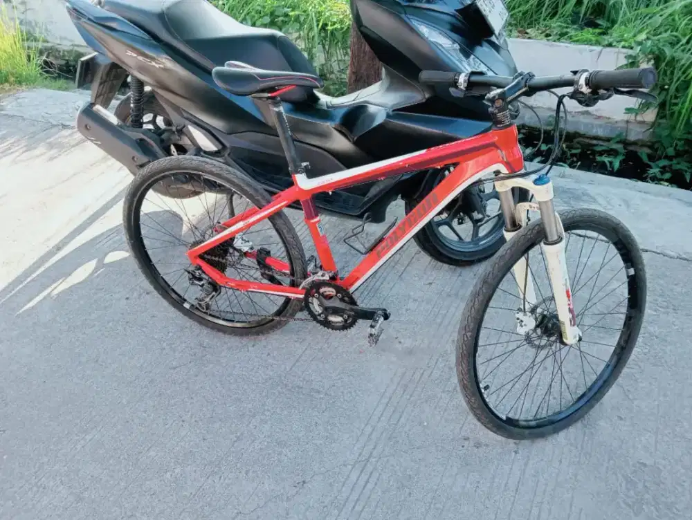 Polygon cosmic cx 1.0