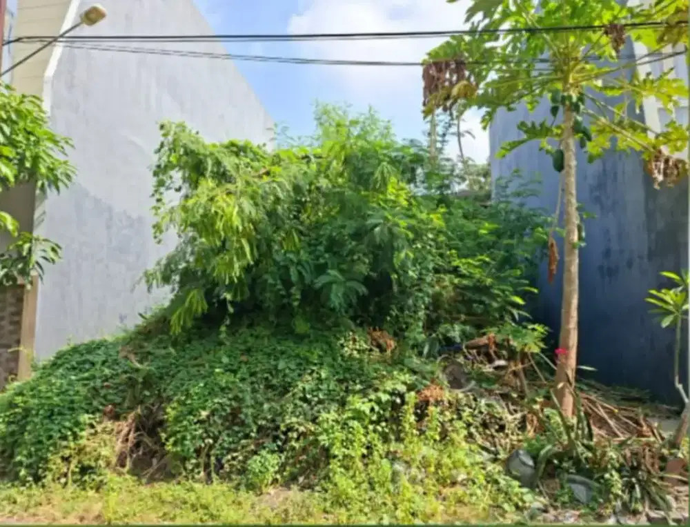 Tanah Koala Regency dkt Araya Manyar Klampis Baruk Rungkut Nginden Mer