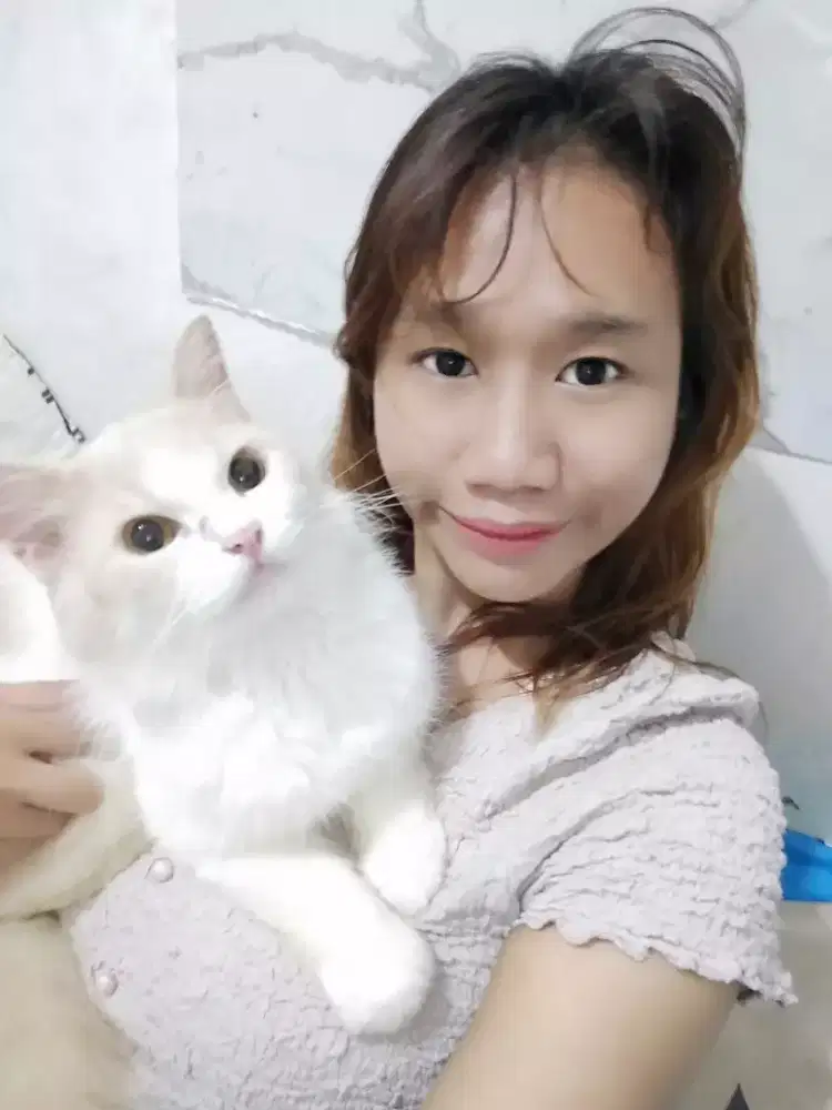 Grooming pet panggilan