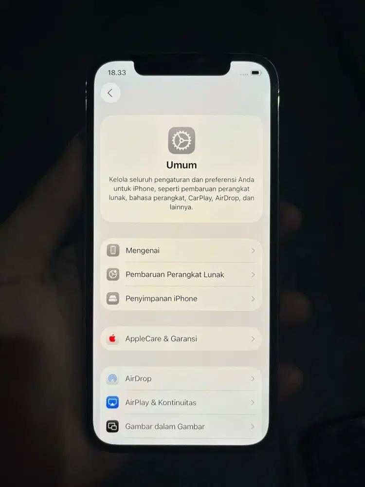 iphone 12 pro 256gb beacukai