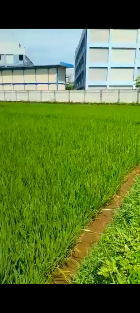 Dijual Tanah di Jatinangor cocok untuk Rumah Cluster