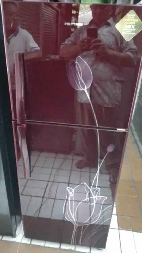 Polytron motif ßunga no frost