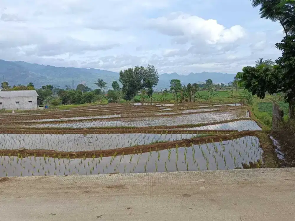 Dijual Tanah di cimaung puntang kawasan Villa bandung