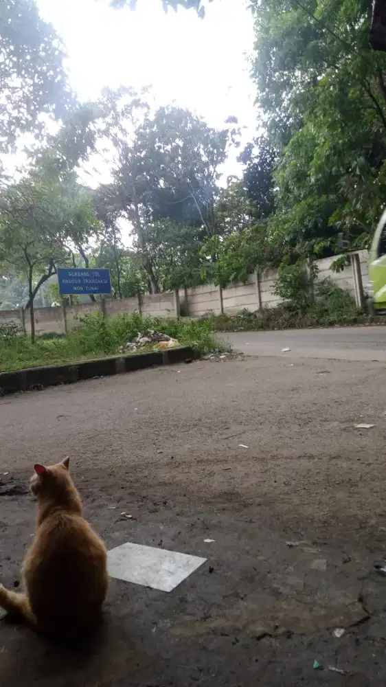 infokan pekerjaan buat sayaa,sudah ada pengalaman