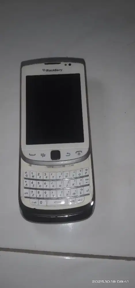 Blackberry torch