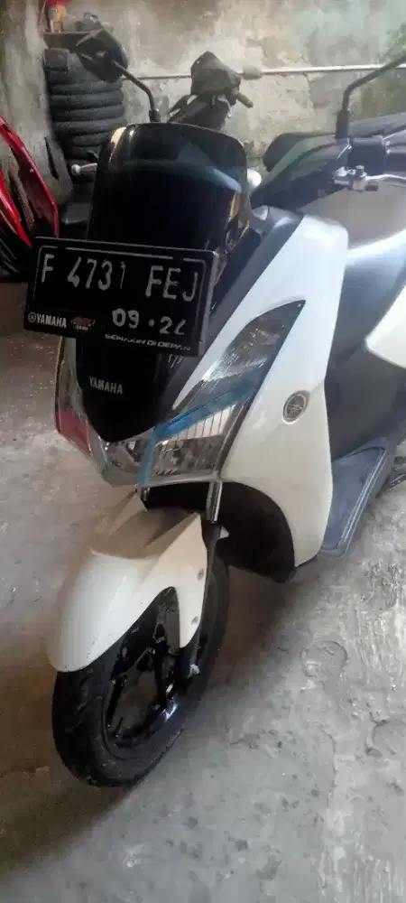 Lexy 2019 f kabupaten