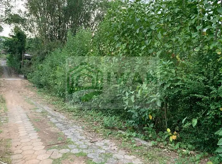 Tanah Luas & Murah Ada Sungai Kecilnya