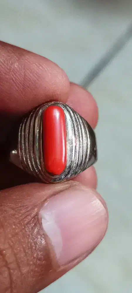 Natural Marjan laut merah