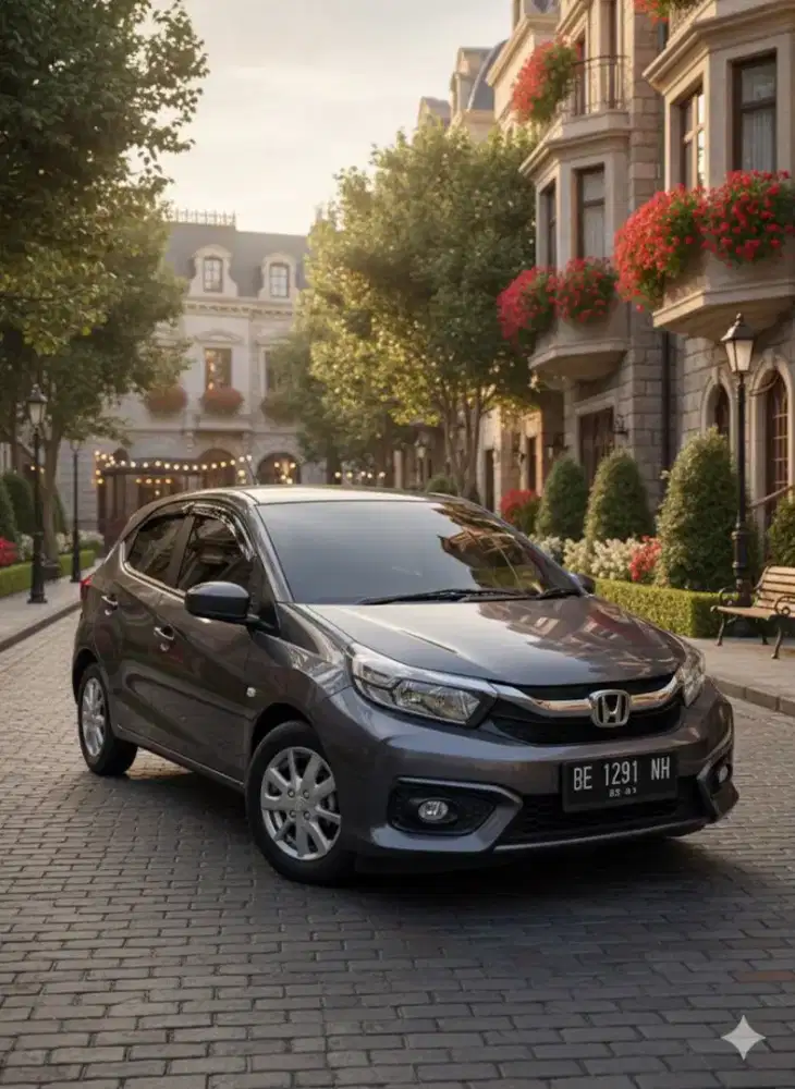Brio Satya E Manual 2022