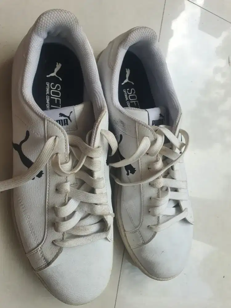 Sepatu Pria Original Puma
