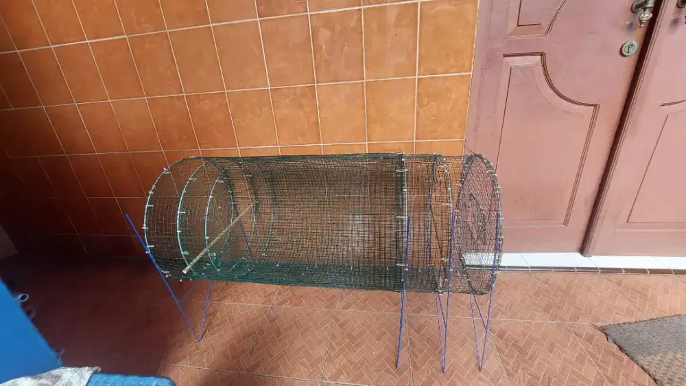 Umbaran Burung murai,kenari