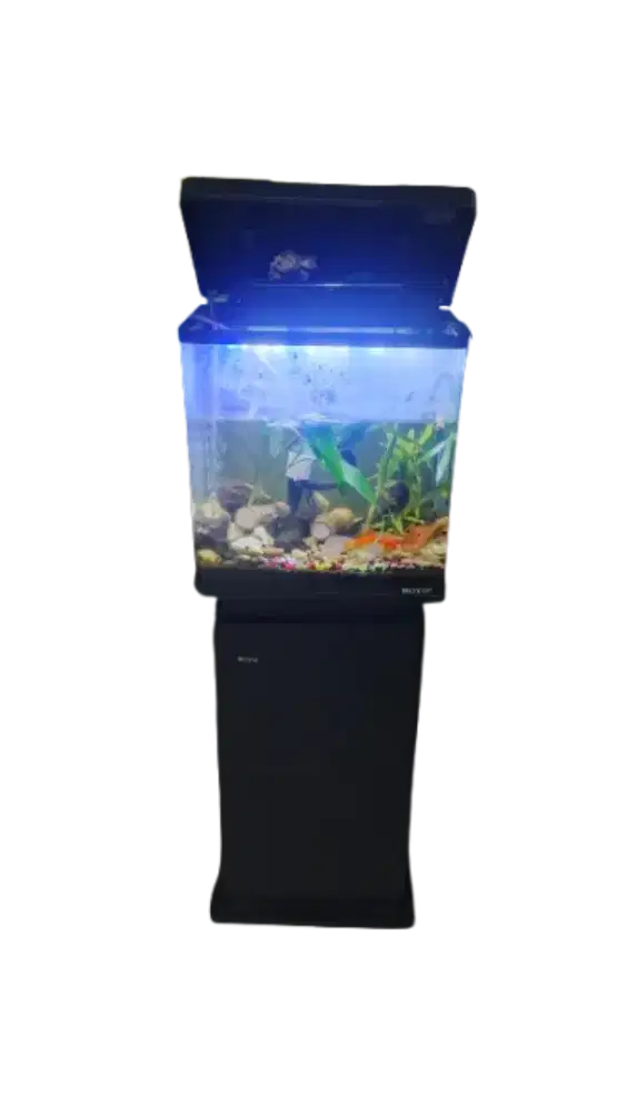 Aquarium full set merk boya