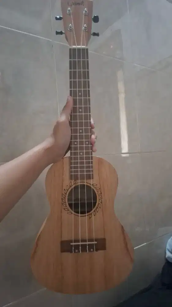 Ukulele Grande (mulus)