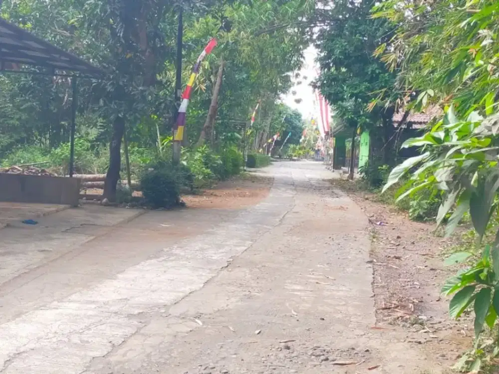 Dijual Rumah di Jalan Srandakan-Bantul 400 Juta Dekat Pasar Mangiran