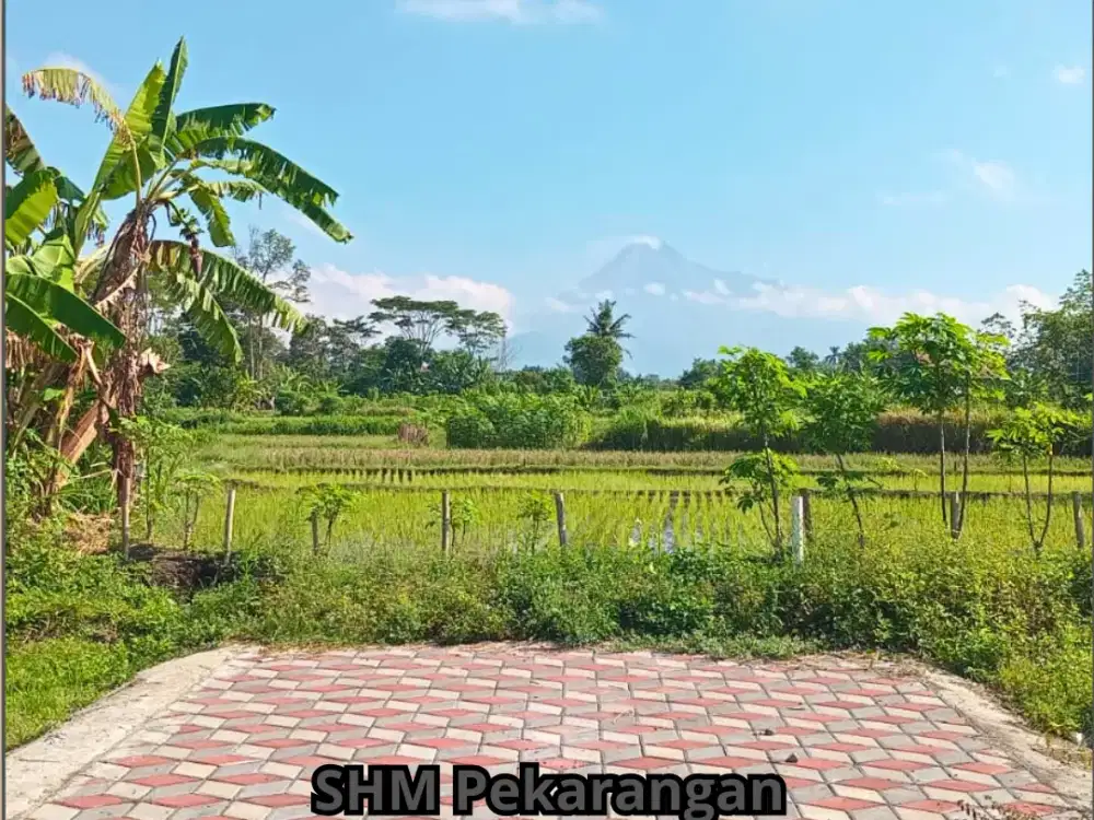 SHM Pekarangan Tanah Jalan Kaliurang Km 10 Jogja Siap Bangun