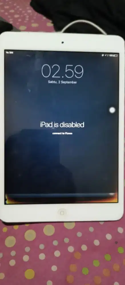 Jual iPad mini seluler
