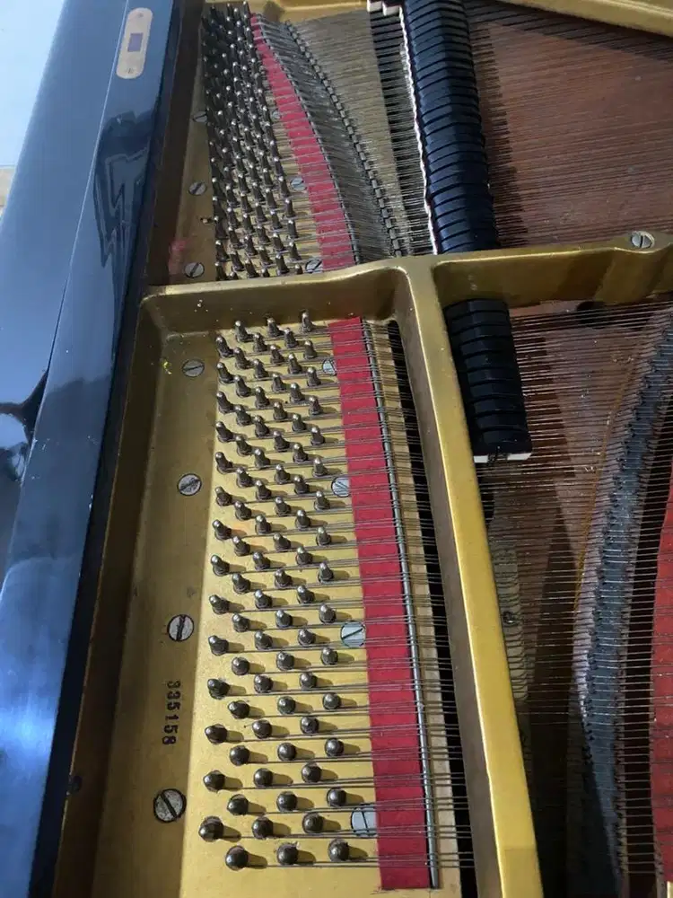 Grand piano petrof
