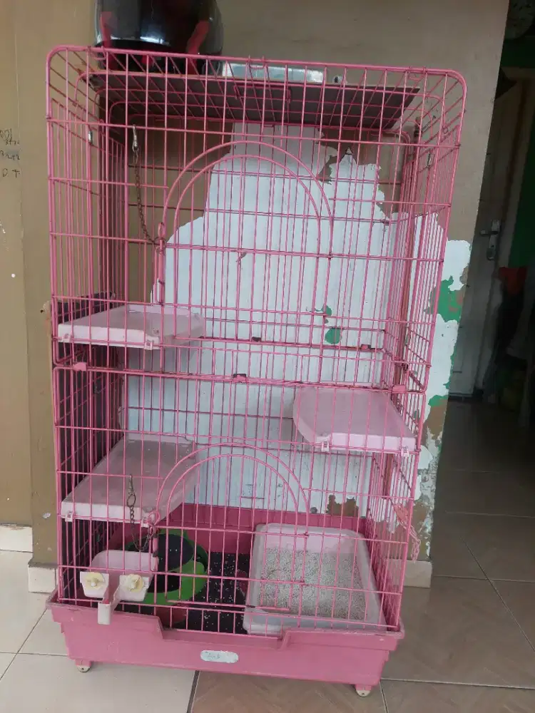 Kandang kucing acehardware