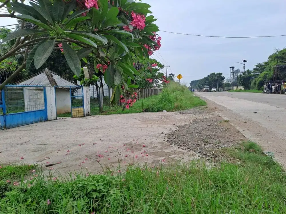 Dijual Ex Pabrik Kayu di Jalan Raya Cikande Rangkasbitung
