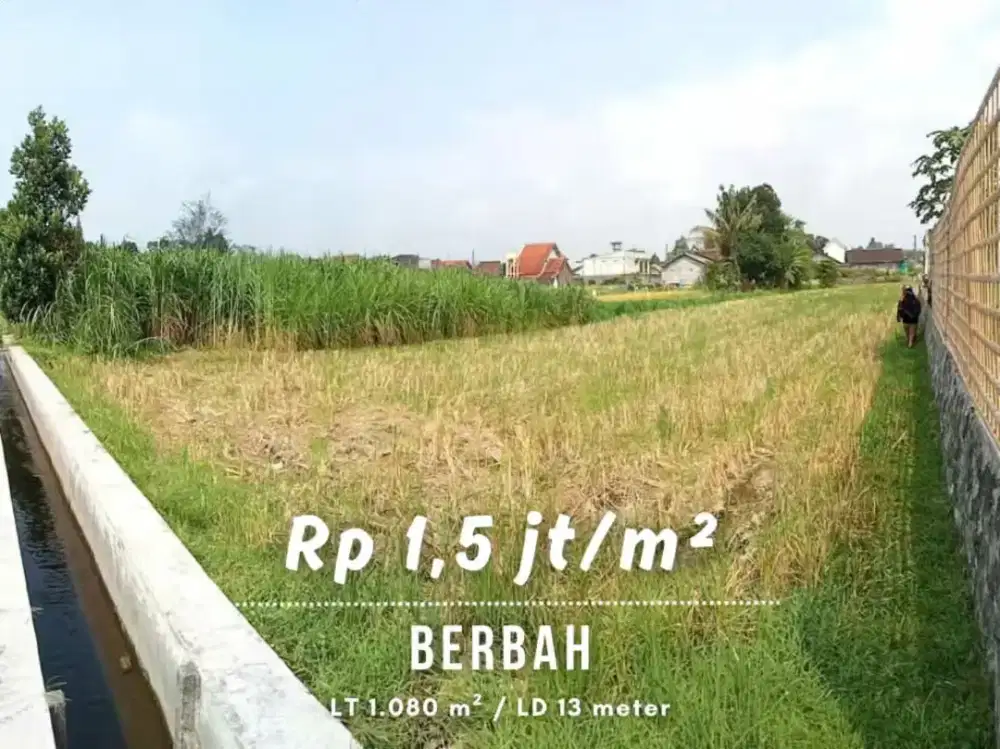 Dijual Tanah Sawah di Berbah dekat Jalan Kopral Samiyo Berbah Sleman
