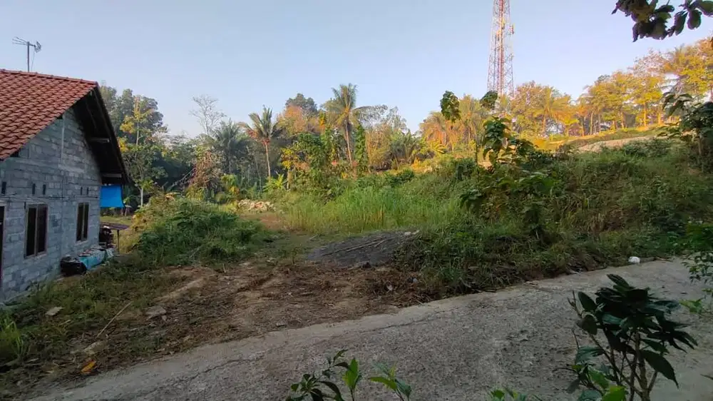 Di Jual Tanah Cepat wates Margosari