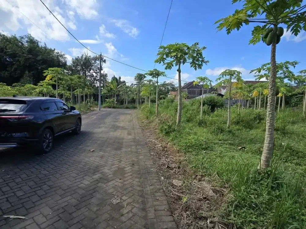 Promo Tanah Kavling Murah Tambakasri Tajinan Malang free SHM an pembeli