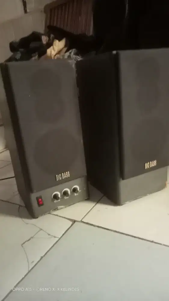 Salon aktif minus pmakean