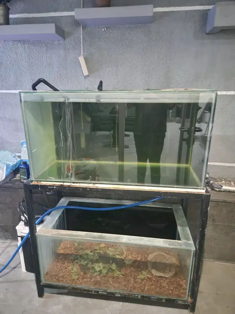 1 set aquarium beserta filter paket hemat tinggal isi