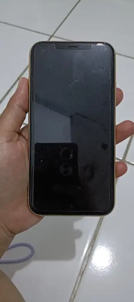 Ipone xr inter mulus