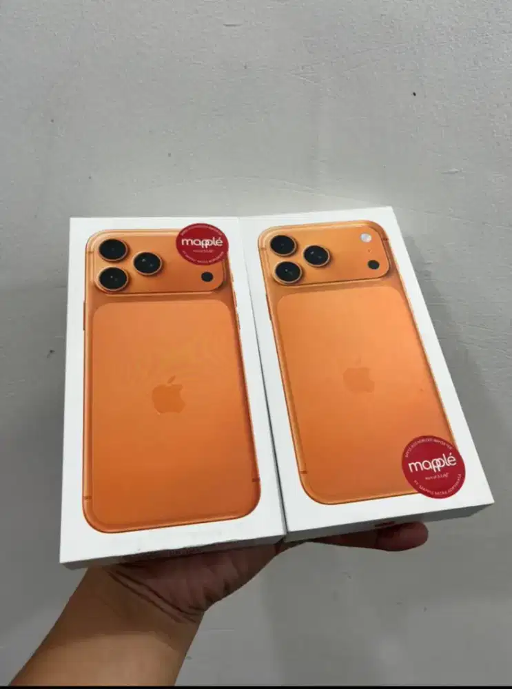 Apple 17 cash & credit