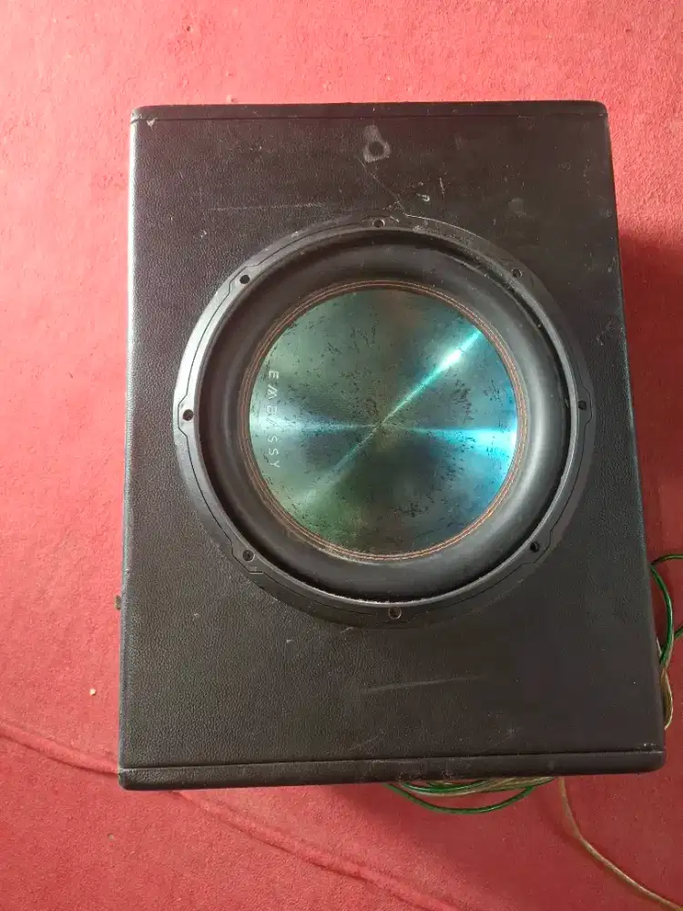 Subwoofer nakamici dual coil 12