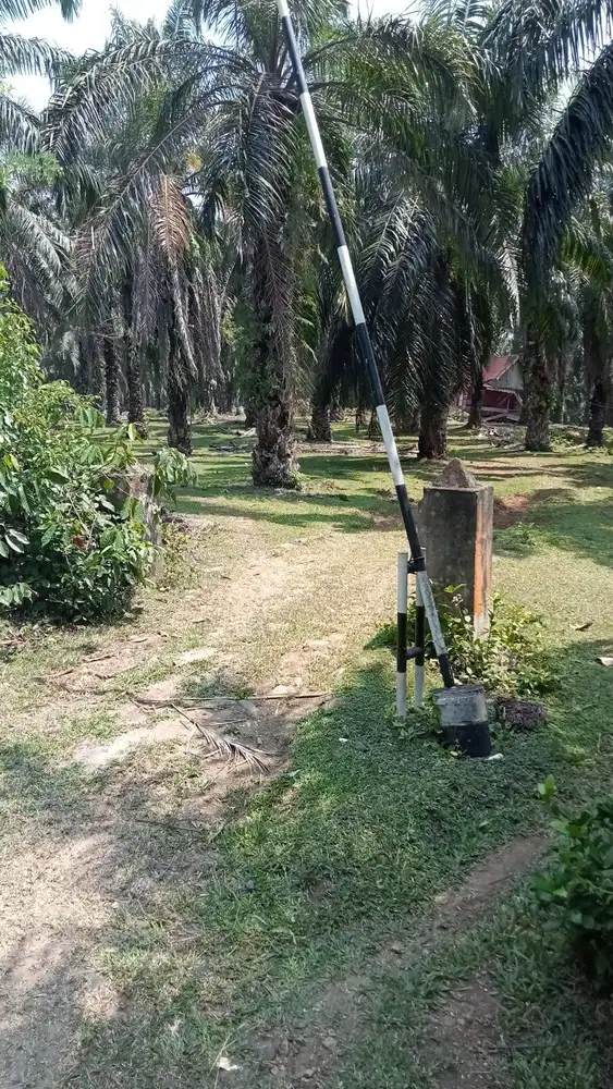 *PERKEBUNAN KELAPA SAWIT (PSR-BEMBA) AIRNAPAL Bengkulu Utara*