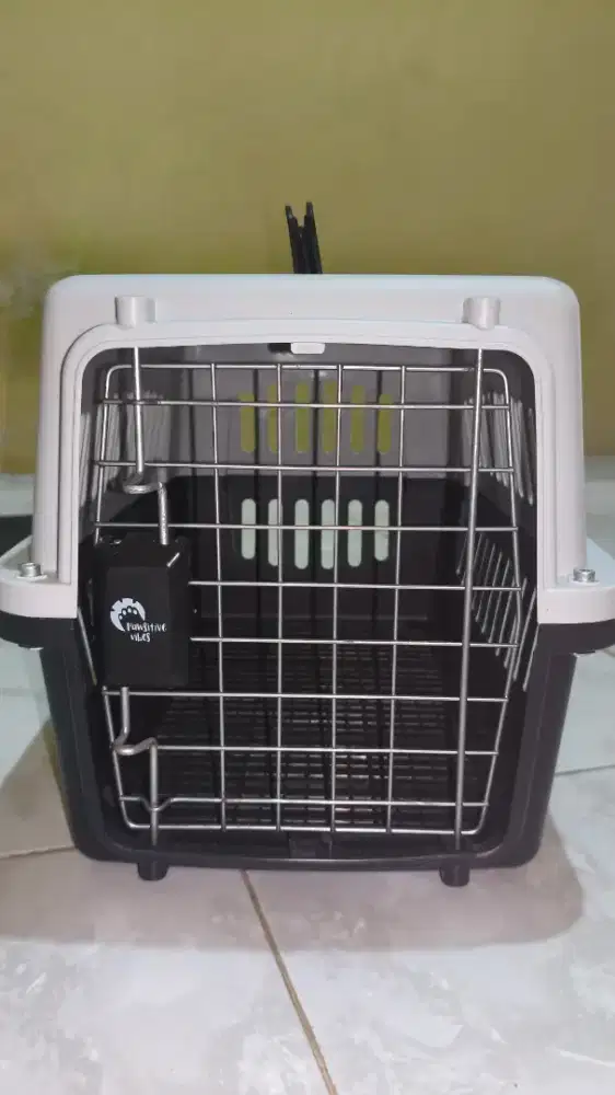 pet cargo kucing dan hewan kecil lainnya