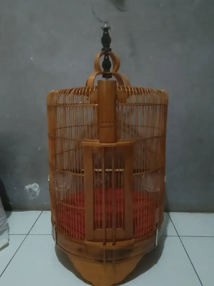 sangkar anis bulat plistur