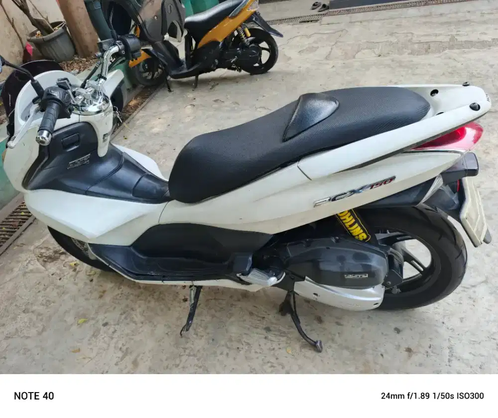 PCX 150 CBU tailan putih susu