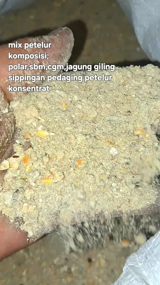 Pakan mix unggas petelur