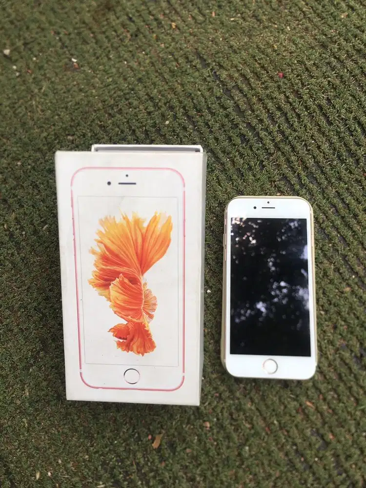 Iphone 6s 64gb (Inter)