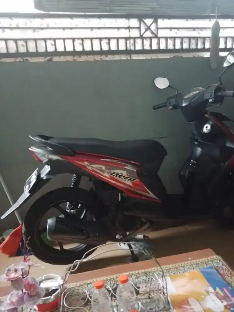 BEAT KARBU MULUS ORSINIL